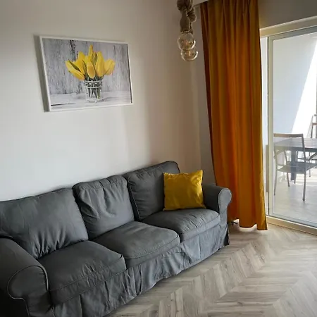 Kamelias 3 Minuty Peso Od Mora Povile