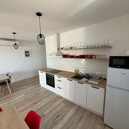 Kamelias 3 Minuty Peso Od Mora